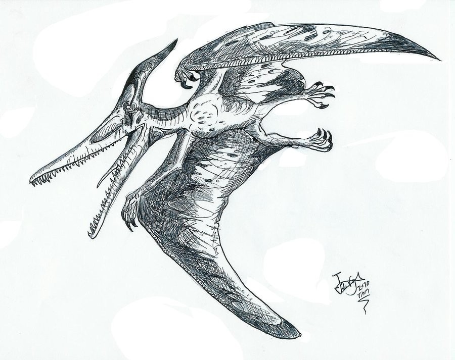 Ludodactylus