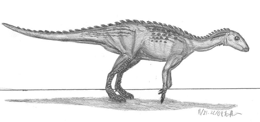 Macrogryphosaurus