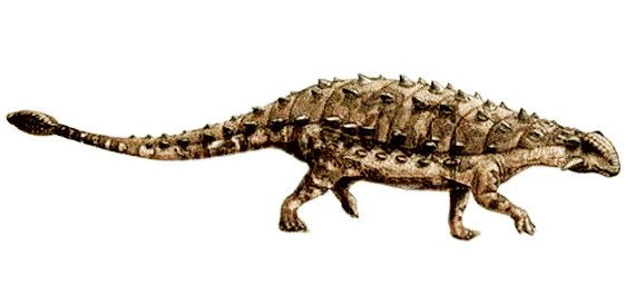 Maleevus, Cretaceous
(Меловой период)