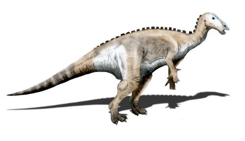 Mantellisaurus