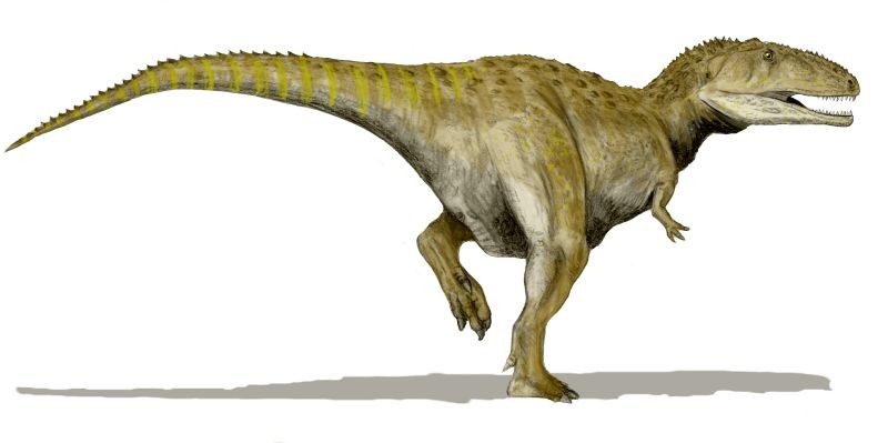 Mapusaurus