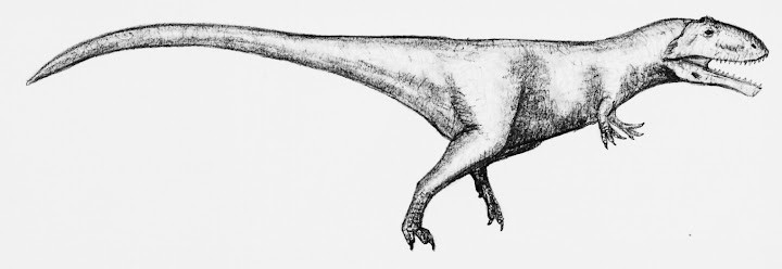 Mapusaurus