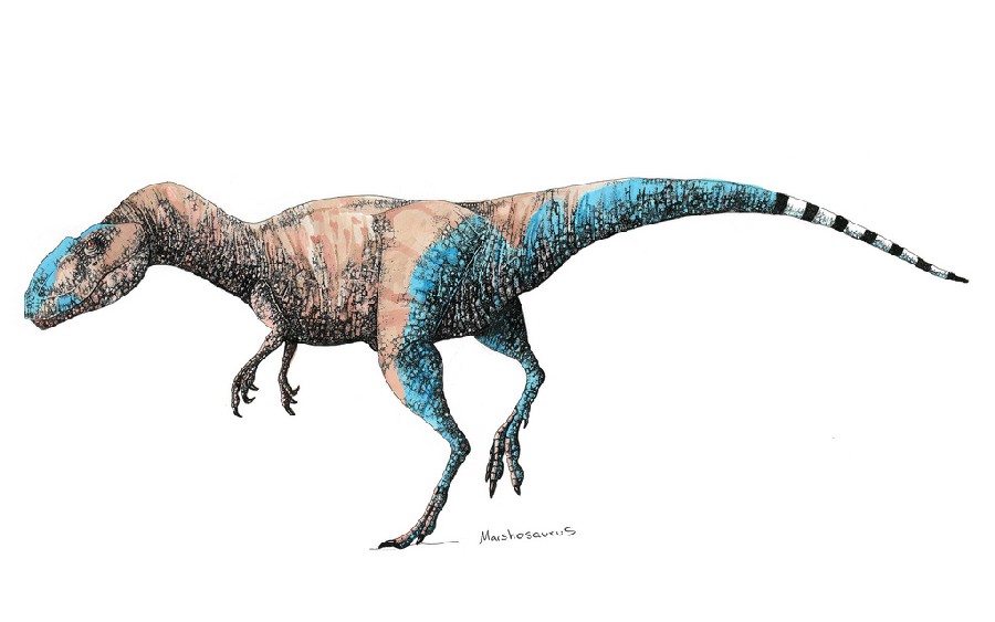 Marshosaurus