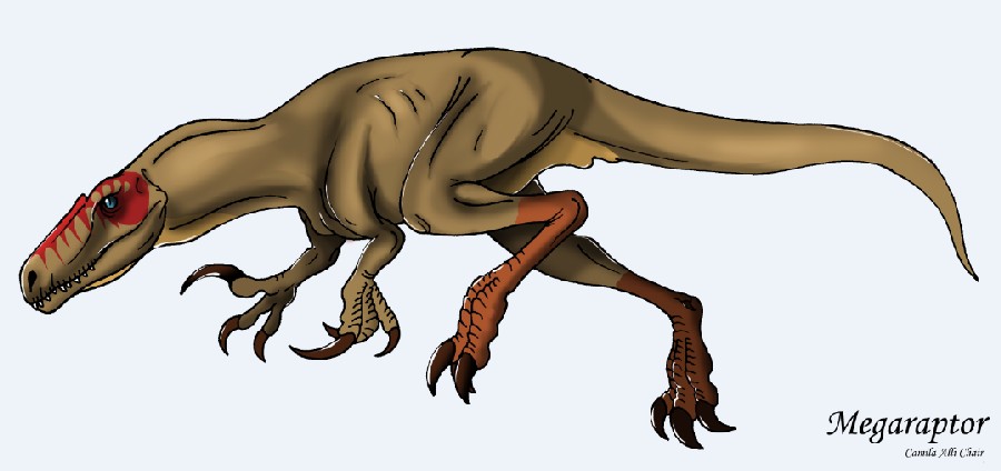 Megaraptor: Largest known raptor dinosaur uncovered in South America