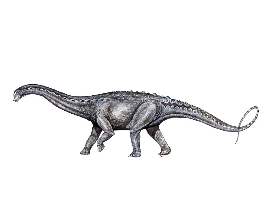 Mendozasaurus, Cretaceous
(Меловой период)