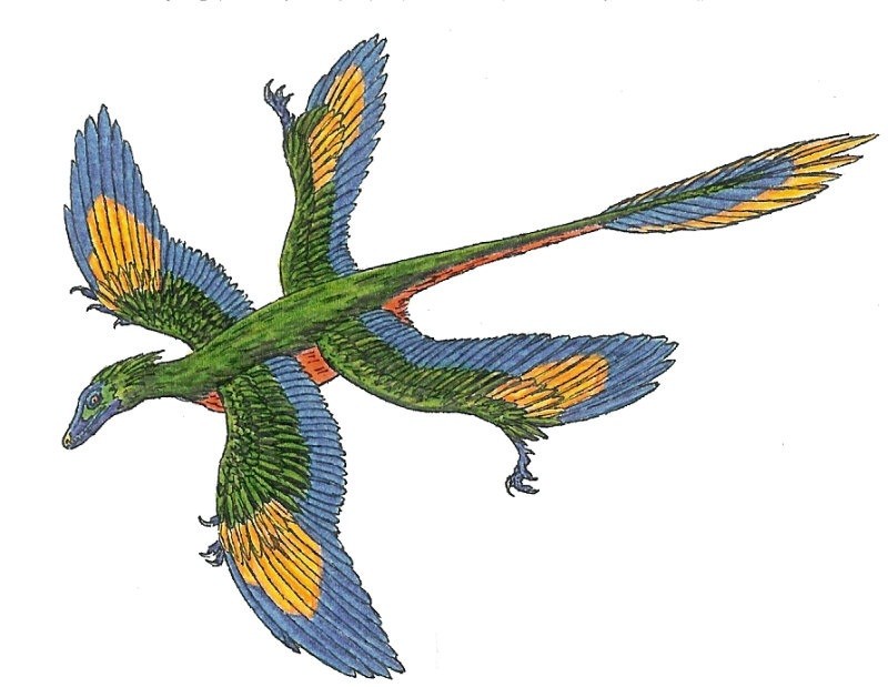 Microraptor
(Микрорапторы), Cretaceous
(Меловой период)