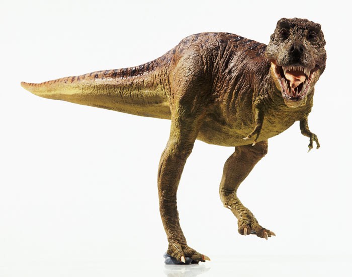 Tyrannosaurus Rex Bilder - Ausmalbilder und Vorlagen