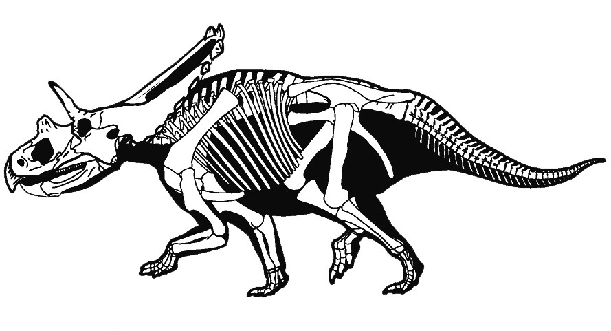 Mojoceratops, Cretaceous
(Меловой период)
