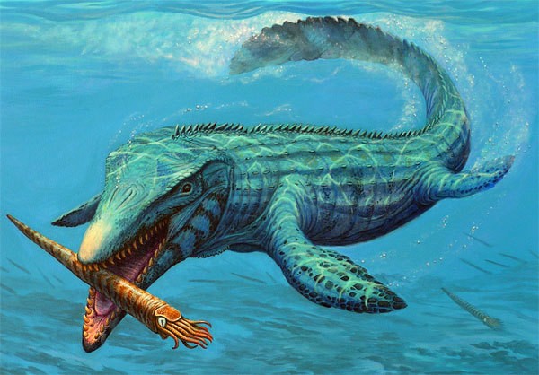 Mosasaurus — Wikipédia