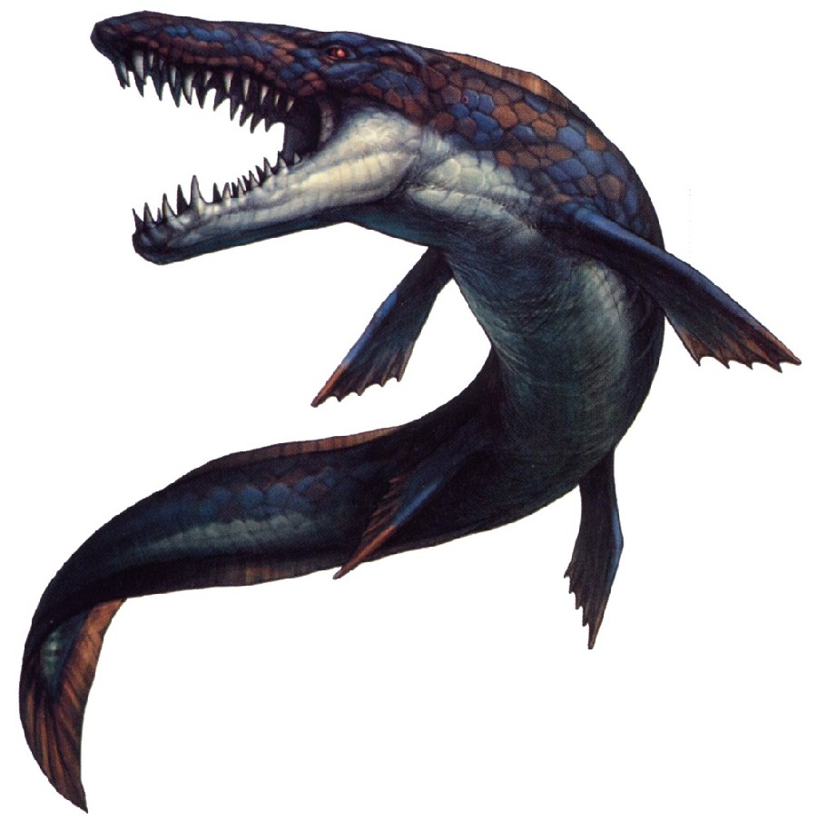 mosasaur mosasaurus