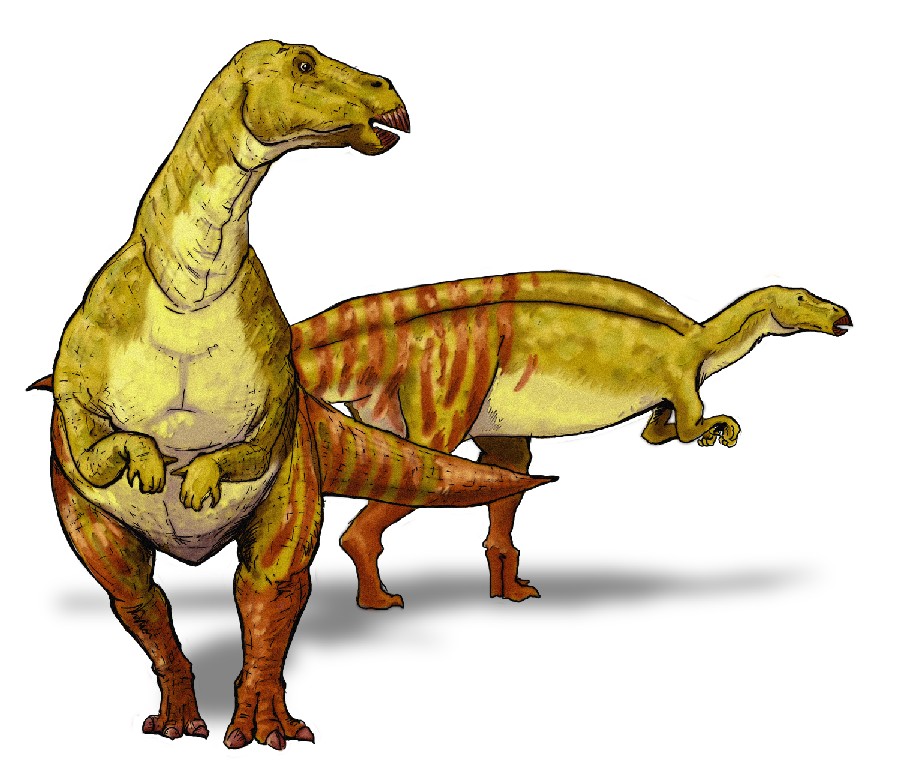 Nanyangosaurus