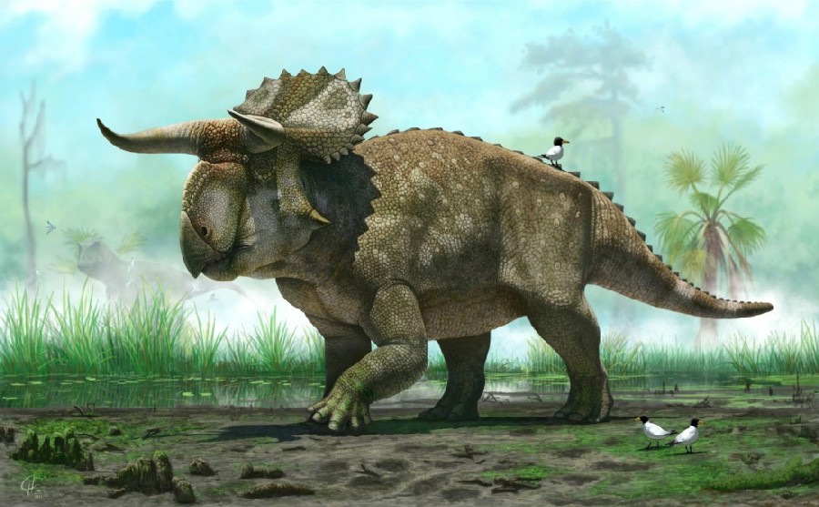 Nasutoceratops-titusi-splash-990x613_edab.jpg