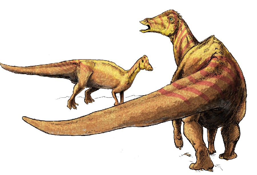 Nipponosaurus
(Ниппонозавр), Cretaceous
(Меловой период)