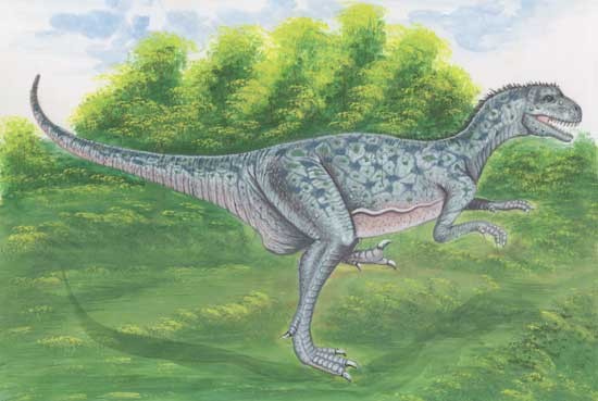 Noasaurus