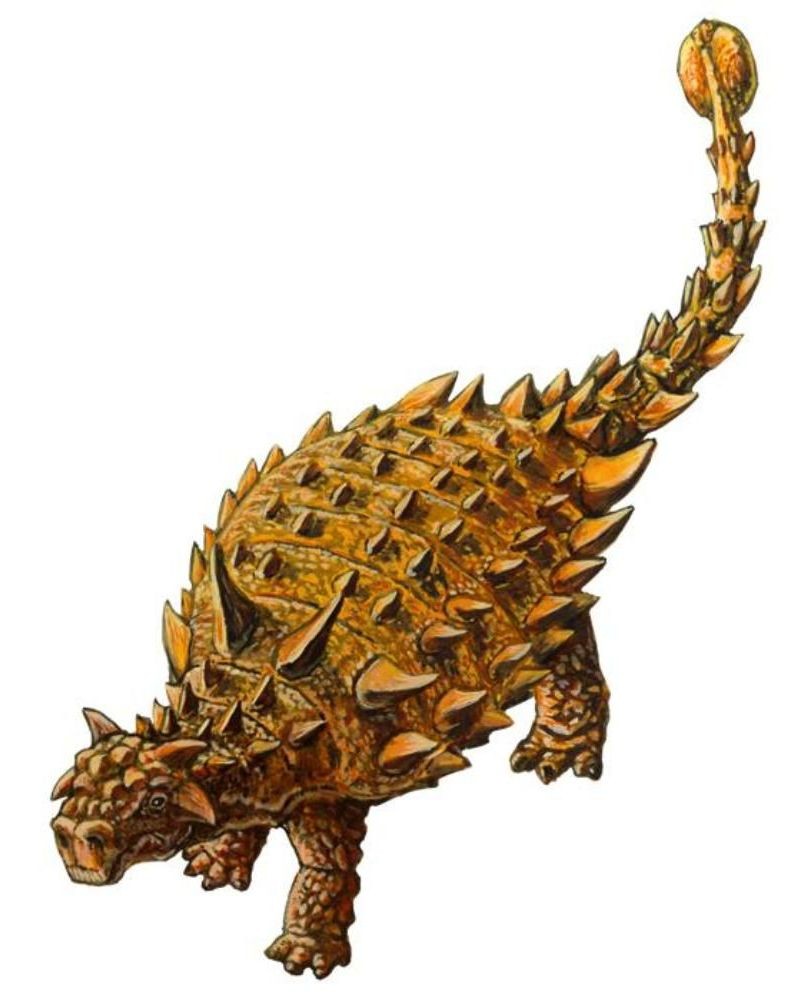 Nodocephalosaurus, Cretaceous
(Меловой период)