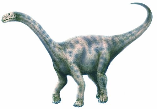 Nurosaurus