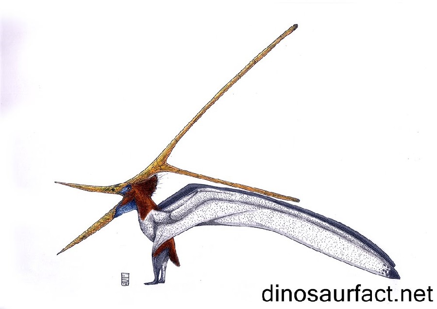 Nyctosaurus