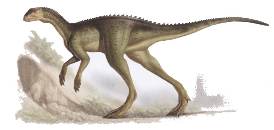 Dinosaure Oryctodromeus