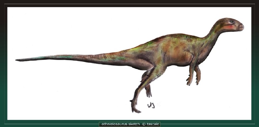 Othnielosaurus, Jurassic
(Юрский период)