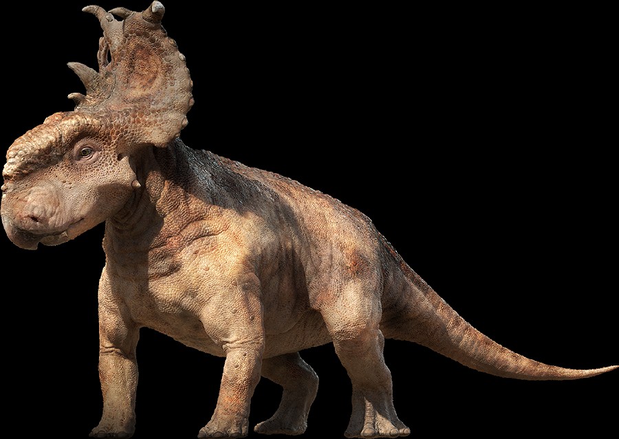 Pachyrhinosaurus
(Пахиринозавры), Cretaceous
(Меловой период)