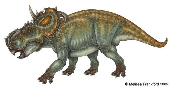 walking with dinosaurs pachyrhinosaurus coloring pages - photo #43