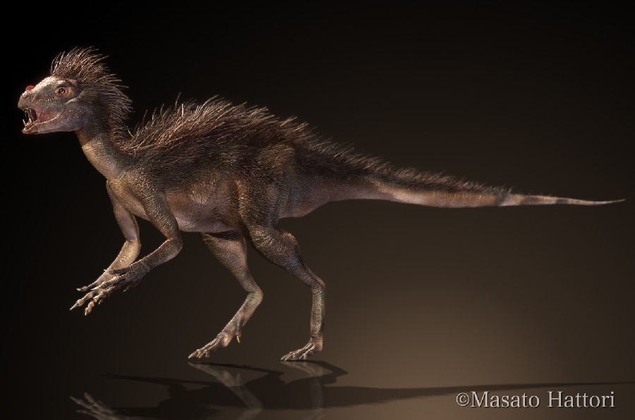 Pegomastax Pictures Facts The Dinosaur Database