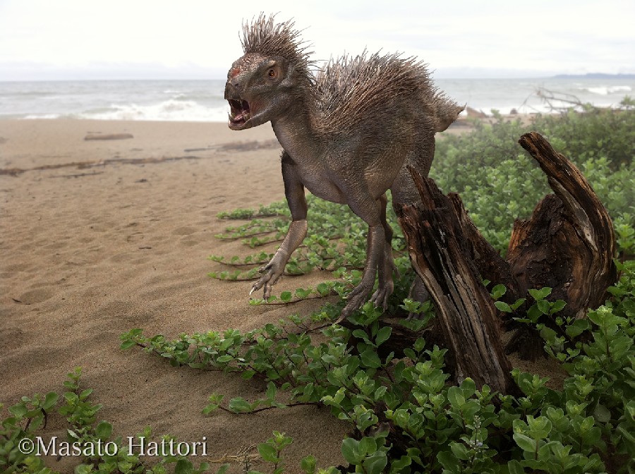 Pegomastax 5e Creature D D Wiki
