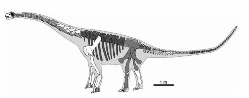 Phuwiangosaurus