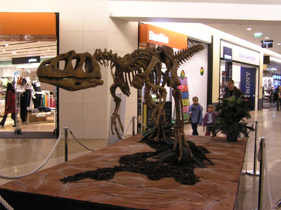 Piatnitzkysaurus