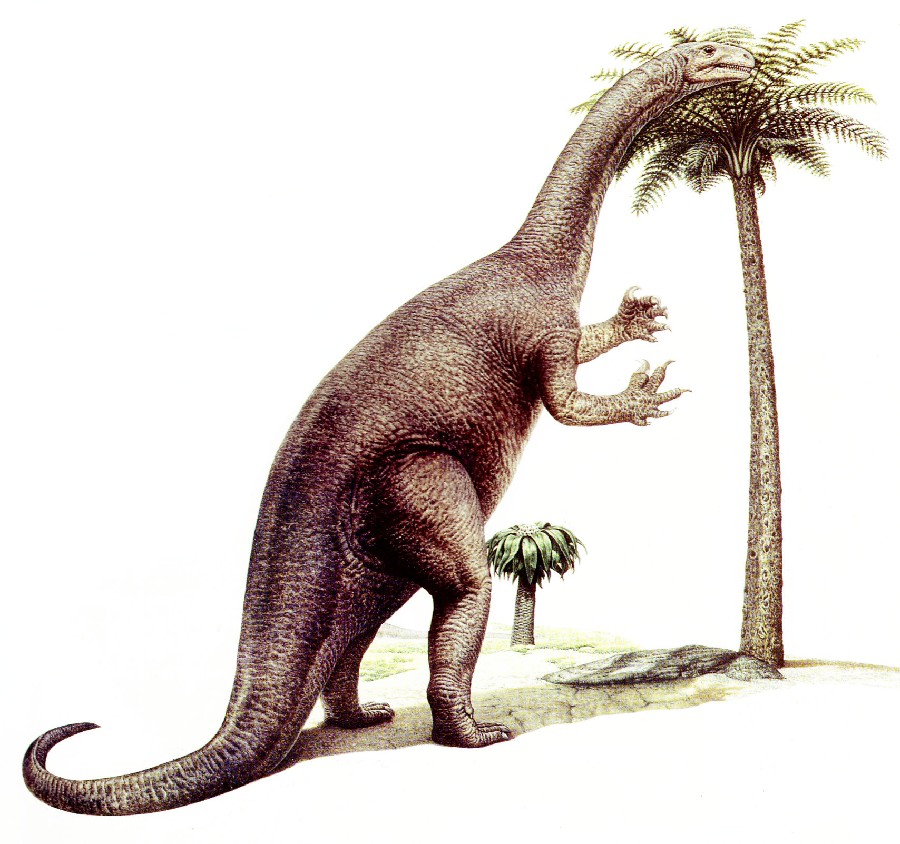 Plateosaurus