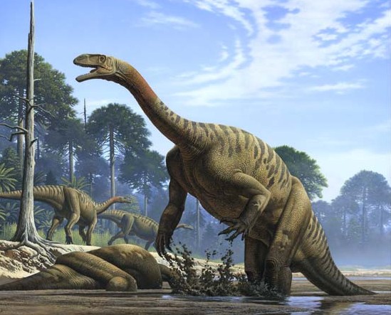Plateosaurus_1_be90.jpg