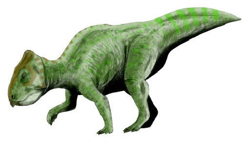 Prenoceratops, Cretaceous
(Меловой период)