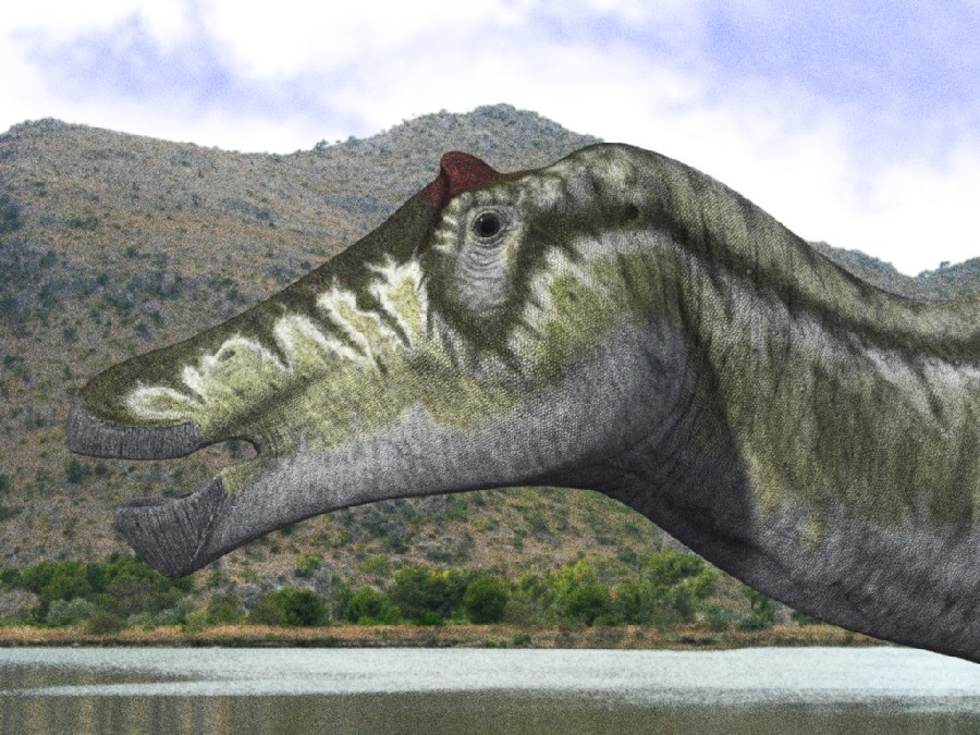Prosaurolophus
(Прозауролоф), Cretaceous
(Меловой период)