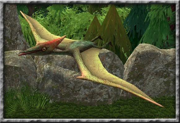 Pterodactyl Pictures Facts The Dinosaur Database