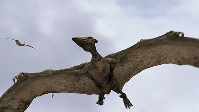 Pterodáctilo, Wiki