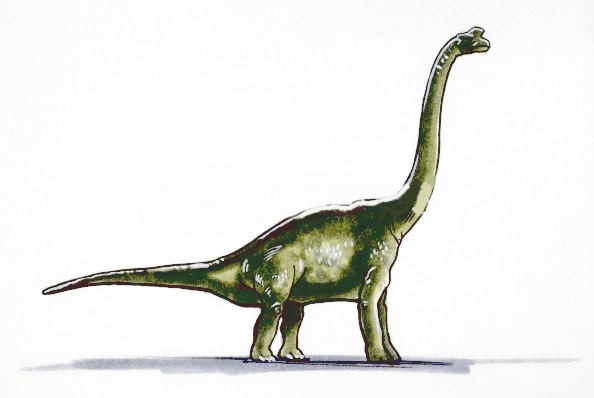 Pukyongosaurus