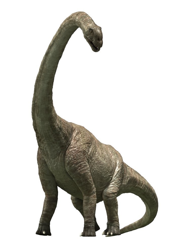 Pukyongosaurus