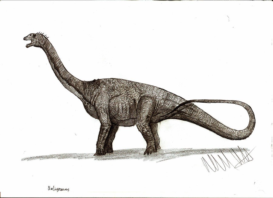 Qinlingosaurus, Cretaceous
(Меловой период)