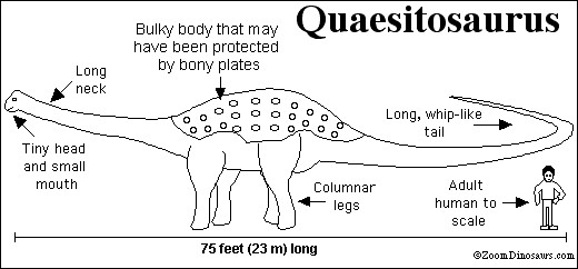 Quaesitosaurus