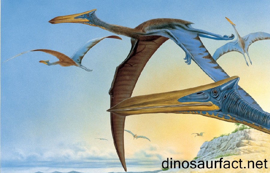 Quetzalcoatlus Pictures Facts The Dinosaur Database