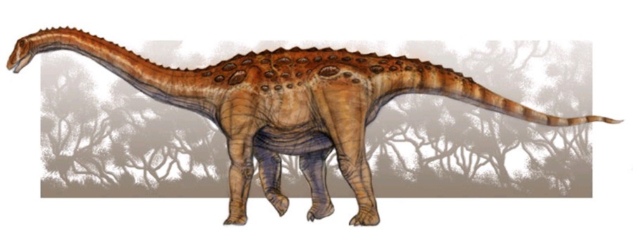 Rapetosaurus