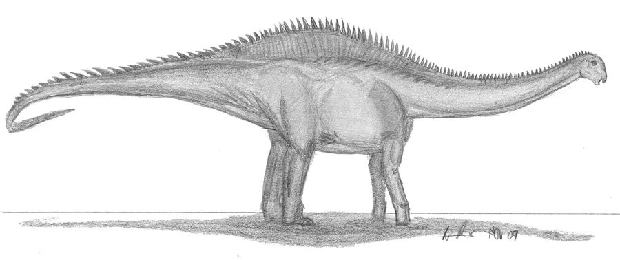 Rayososaurus, Cretaceous
(Меловой период)