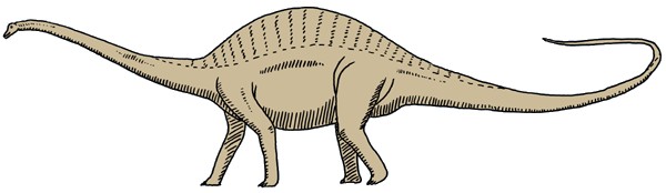 Rebbachisaurus