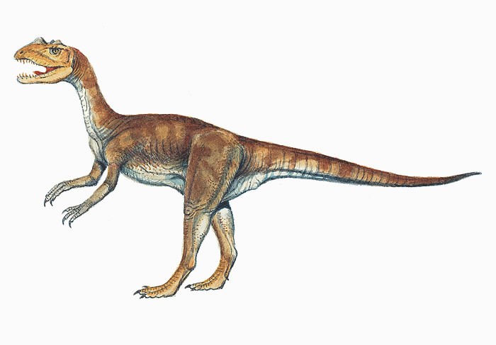 Sarcosaurus, Jurassic
(Юрский период)