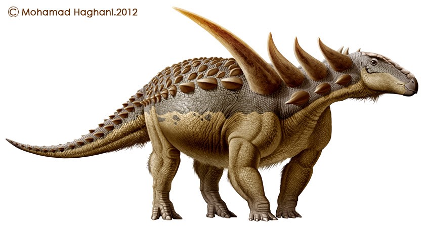 sauropelta