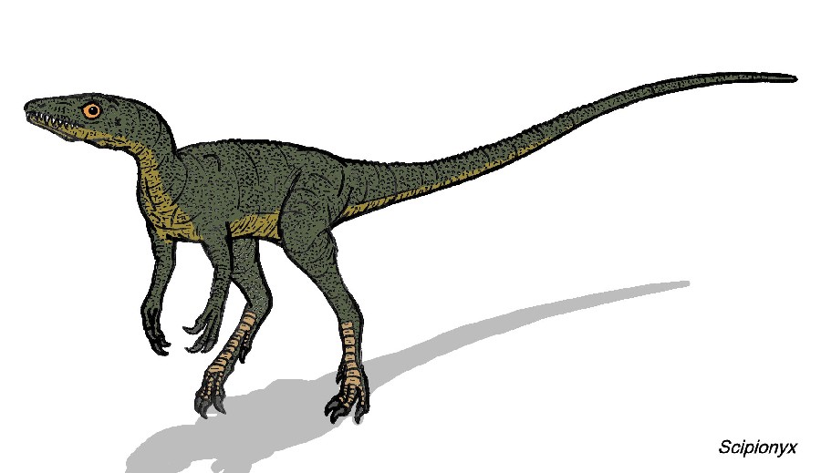 Scipionyx
(Сципионикс), Cretaceous
(Меловой период)