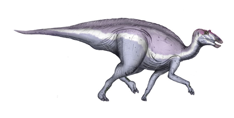 Secernosaurus, Cretaceous
(Меловой период)