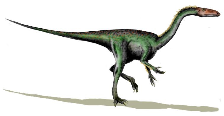 Segisaurus