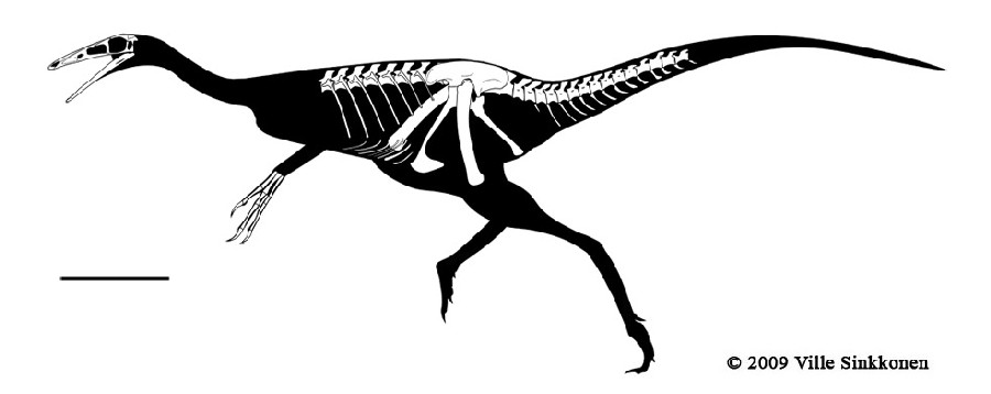 Shenzhousaurus, Cretaceous
(Меловой период)