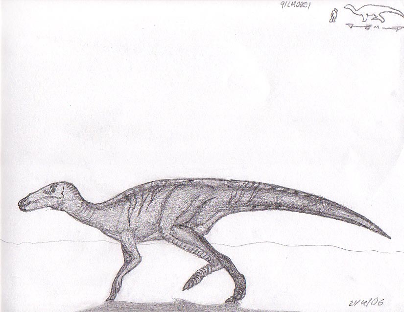 Shuangmiaosaurus